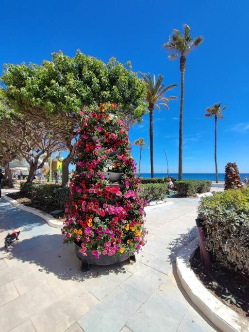 1st Line Of The Beach, La Rada Beach! Ac,wifi,terrace, Private Parking Appartement Estepona