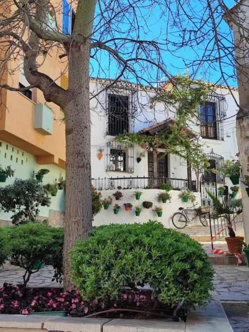 1st Line Of The Beach, La Rada Beach! Ac,wifi,terrace, Private Parking Appartement *